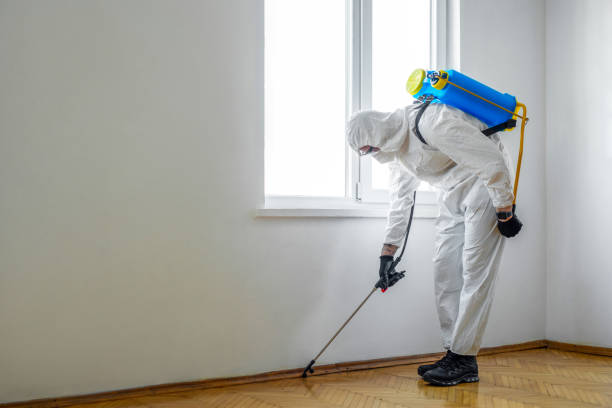 Emergency Pest Control Services in Ingleside, TX